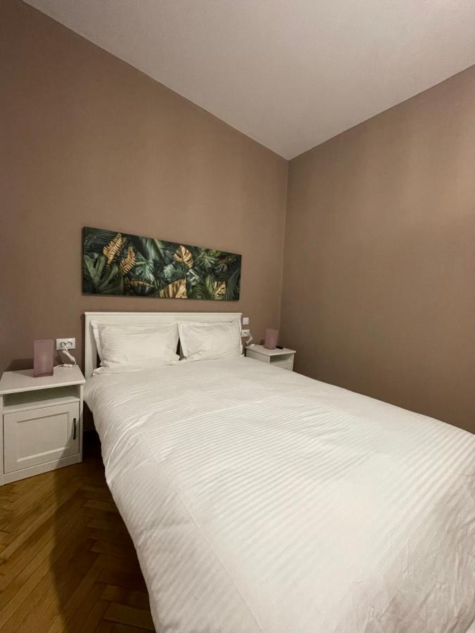 Schei Central Studios In The Heart Of Brašov Exteriér fotografie
