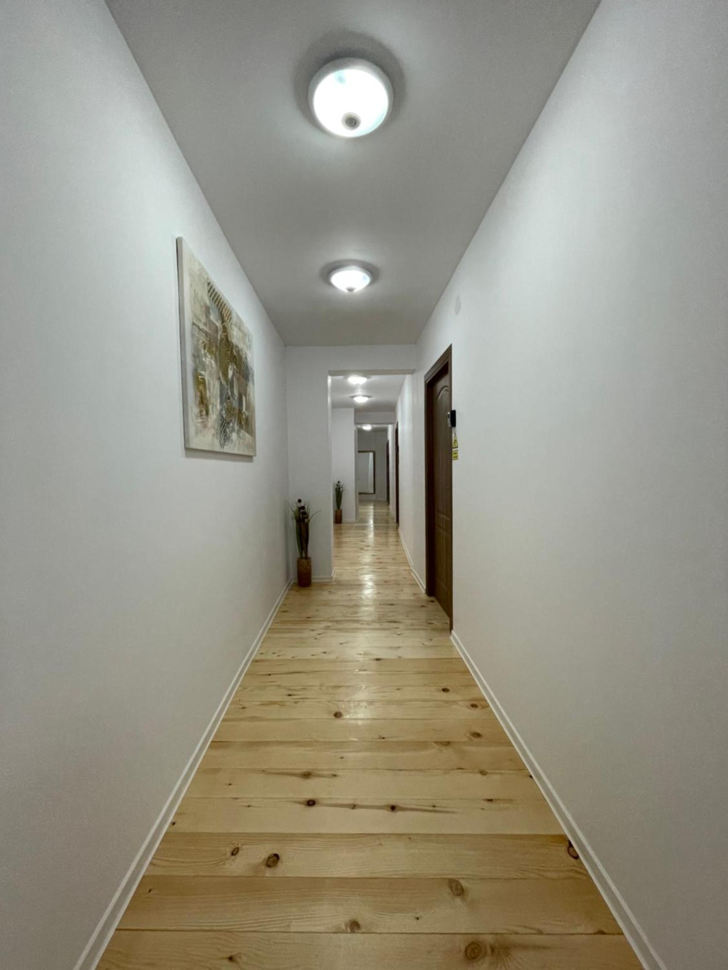 Schei Central Studios In The Heart Of Brašov Exteriér fotografie